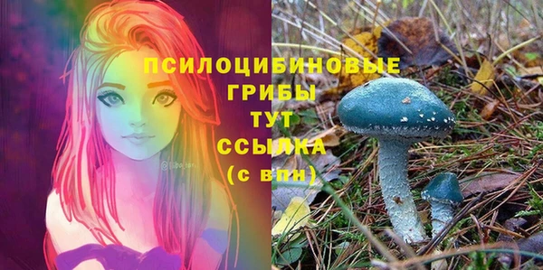 гидропоника Кодинск