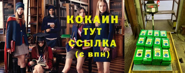 гидропоника Кодинск