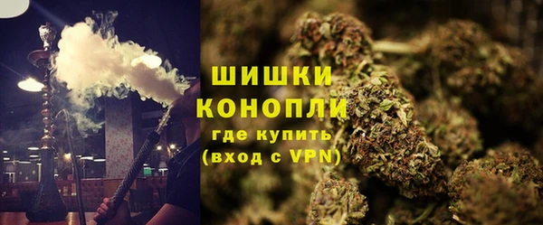 гидропоника Кодинск