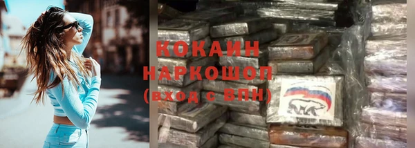 гидропоника Кодинск