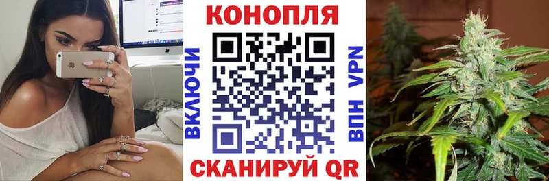 Купить  Иркутск  Каннабис ГИДРОПОН